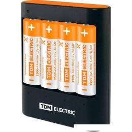 Аккумуляторы + зарядное TDM Electric 36044Н SQ1702-0101