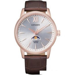 Наручные часы Citizen AK5003-05A