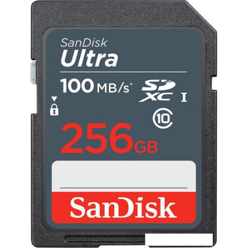 Карта памяти SanDisk Ultra SDXC SDSDUNR-256G-GN3IN 256GB