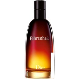 Christian Dior Fahrenheit EdT (50 мл)