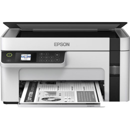 МФУ Epson M2120
