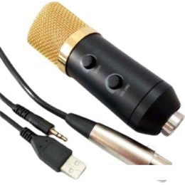 Микрофон Biema BM750