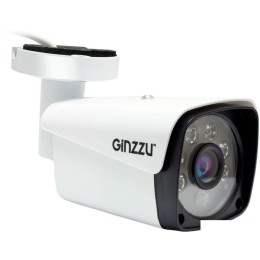 IP-камера Ginzzu HIB-5301A