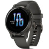 Умные часы Garmin Venu 2S (сланцевая нержавеющая сталь/черный)