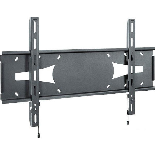 Кронштейн Holder PFS-4017