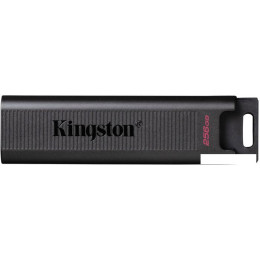 USB Flash Kingston DataTraveler Max 256GB