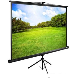 Проекционный экран CACTUS TriExpert 150x200 CS-PSTE-200X150-BK