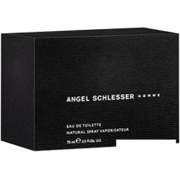 Angel Schlesser Homme edT (75 мл)