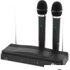 Микрофон Ritmix RWM-210