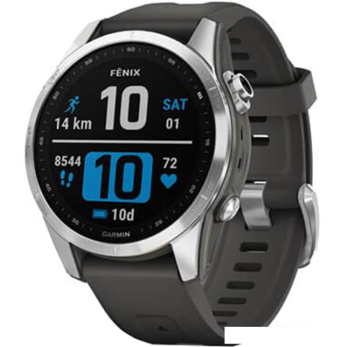 Умные часы Garmin Fenix 7S 42 мм (серебристый/графитовый)