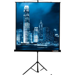 Проекционный экран Lumien Master View 244x244 (LMV-100105)