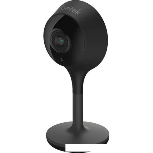 IP-камера Rubetek RV-3419 (черный)
