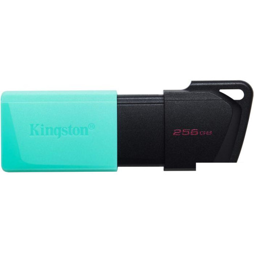 USB Flash Kingston DataTraveler Exodia M 256GB