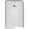 Климатический комплекс Sharp KIN-41RW
