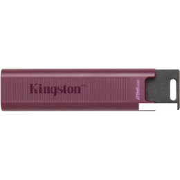 USB Flash Kingston DataTraveler Max Type-A 256GB