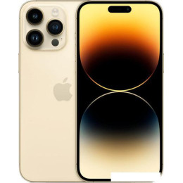 Смартфон Apple iPhone 14 Pro Max 1TB (золотистый)