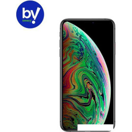 Смартфон Apple iPhone Xs 64GB Воcстановленный by Breezy, грейд B (серый космос)