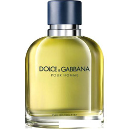 Туалетная вода Dolce&Gabbana Pour Homme EdT (75 мл)