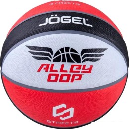 Баскетбольный мяч Jogel Streets Alley Oop (7 размер)