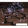 Новогодняя гирлянда ULED ULED-SL-100-24V-(B-F-W/W)