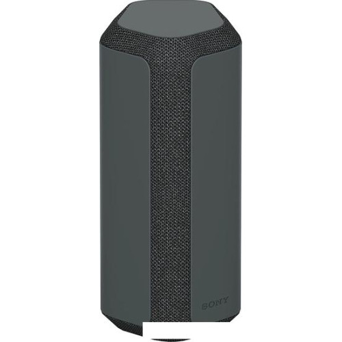 Беспроводная колонка Sony SRS-XE300 (черный)