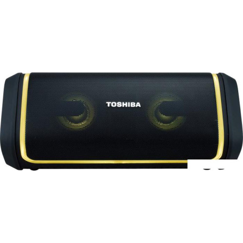 Беспроводная колонка Toshiba TY-WSP150