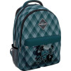 Школьный рюкзак Erich Krause EasyLine 20L Dragon Emblem