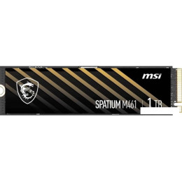 SSD MSI Spatium M461 1TB S78-440L1D0-P83