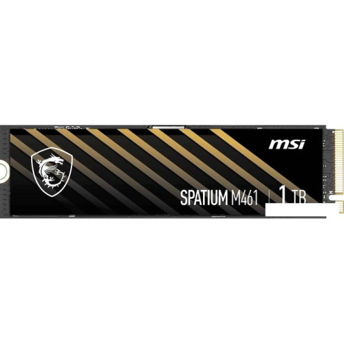 SSD MSI Spatium M461 1TB S78-440L1D0-P83