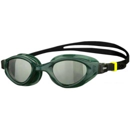 Очки для плавания ARENA Cruiser Evo 002509565 (зеленый)