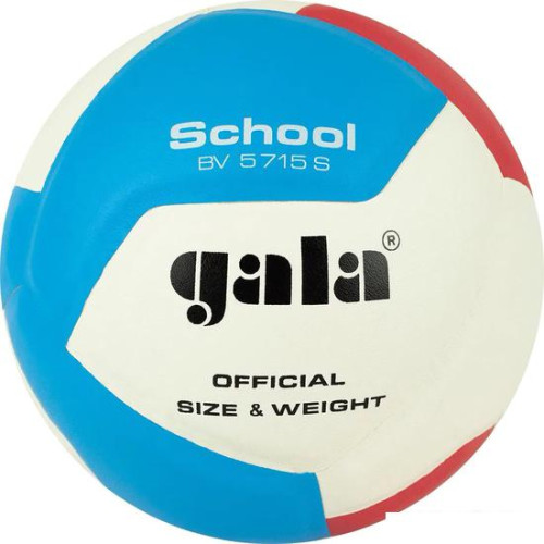 Волейбольный мяч Gala School 12 BV 5715 S (размер 5, белый/красный/голубой)