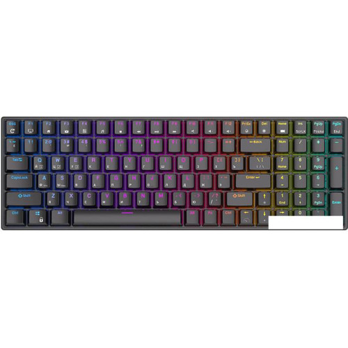 Клавиатура Royal Kludge RK100 RGB (черный, RK Brown)
