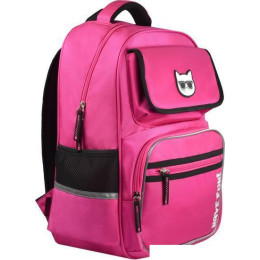 Школьный рюкзак Феникс+ Кот в очках 59256 (розовый)