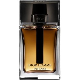 Парфюмерная вода Christian Dior Dior Homme Intense EdP (50 мл)