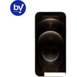 Смартфон Apple iPhone 12 Pro 256GB Восстановленный by Breezy, грейд B (золотистый)