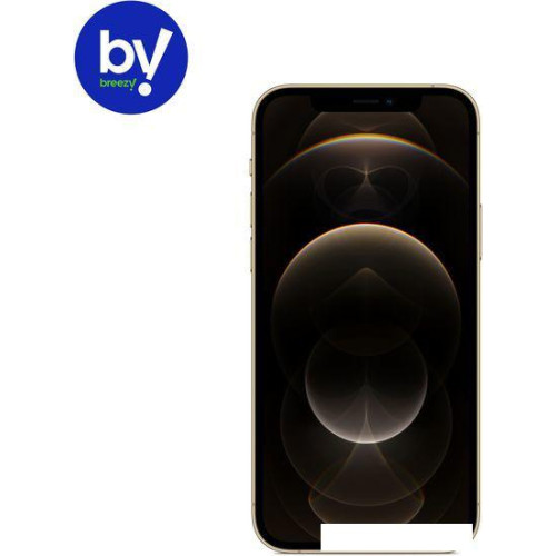 Смартфон Apple iPhone 12 Pro 256GB Восстановленный by Breezy, грейд B (золотистый)