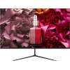 Игровой монитор PINEBRO GF-2403T