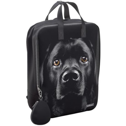 Городской рюкзак Erich Krause StreetLine 16L Black Dog 60343