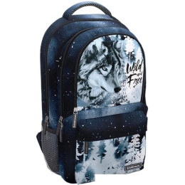 Городской рюкзак Erich Krause ActiveLine Ergoback 22L Timber Wolf 60148