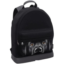 Городской рюкзак Erich Krause StreetLine Black Dog 60349