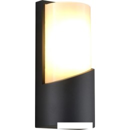 Уличный настенный светильник ESCADA 30004W/01 (темно-серый)