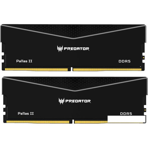 Оперативная память Acer Predator Pallas II 2x32ГБ DDR5 6000 МГц BL.9BWWR.437