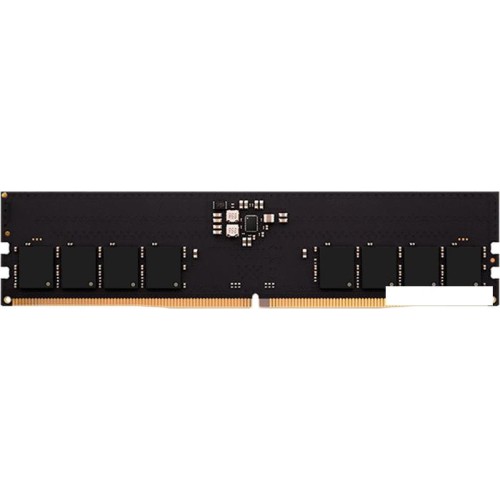 Оперативная память AMD Radeon R5 Entertainment Series 32ГБ DDR5 5200 МГц R5532G5200U2S-U