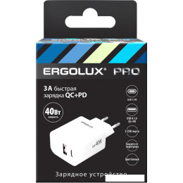 Сетевое зарядное Ergolux ELX-РA04QC-C01