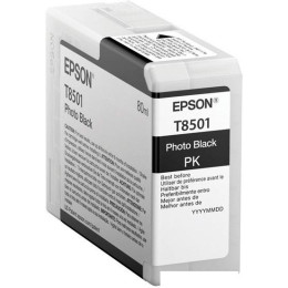 Картридж Epson C13T850100