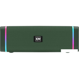 Беспроводная колонка Soundmax SM-PS5019B (зеленый)