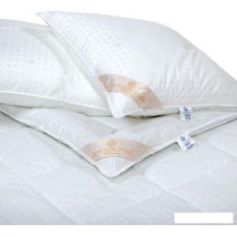 Комплект подушка+одеяло АртПостель Н1215