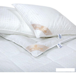 Комплект подушка+одеяло АртПостель Н1216