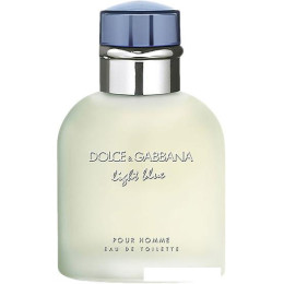 Dolce&Gabbana Light Blue pour Homme EdT (40 мл)