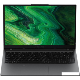 Ноутбук Digma Pro Fortis M DN17P3-8DXW03